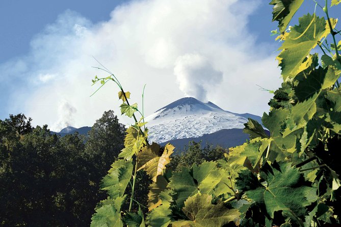Etna and Wines Tour - The drive out: Catania waterfront to Acitrezza stacks