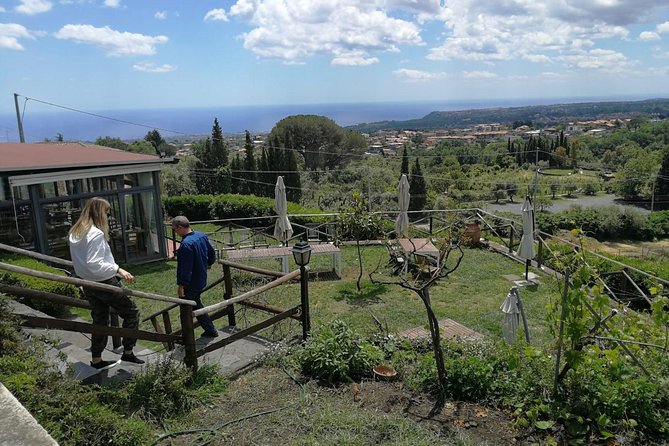 Etna and Wines Tour - Stop 1 on Mount Etna: lava flow cave with helmets and torches