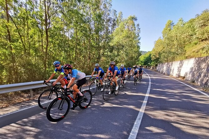 Etna Bike Tour - Cycling in Sicily - Above Fiumefreddo di Sicilia to Piedimonte Etneo: Your First Real Climb