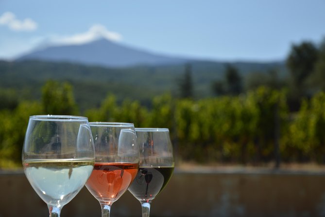 Etna DOC & Organic Wine tasting and tour of the 1815 historic winery - A smooth 1 hour 45 minute flow: vineyards, old winery, underground cellar