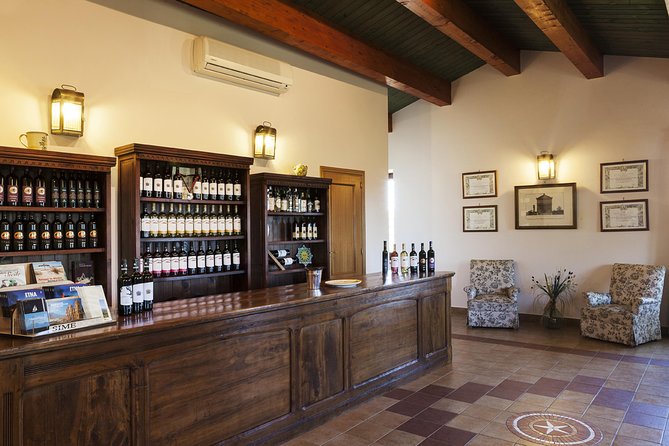 Etna DOC & Organic Wine tasting and tour of the 1815 historic winery - When to go, what to expect, and what to wear