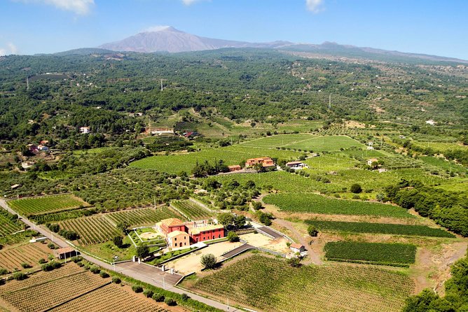 Etna DOC & Organic Wine tasting and tour of the 1815 historic winery - Who this tour is best for (and who might prefer something else)