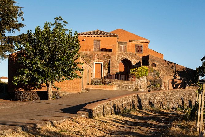 Etna DOC & Organic Wine tasting and tour of the 1815 historic winery - Should you book this Etna DOC & Organic tasting and 1815 winery tour?