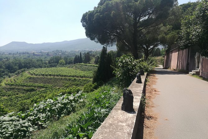 Etna Excursion and Lunch - Wine Tasting in Etna DOC Vinery - Catania to Mount Etna: a day built around the volcano