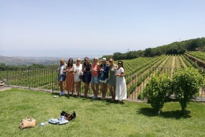 Etna Excursion and Lunch - Wine Tasting in Etna DOC Vinery - Pickup from Catania and the ride up to Rifugio Sapienza