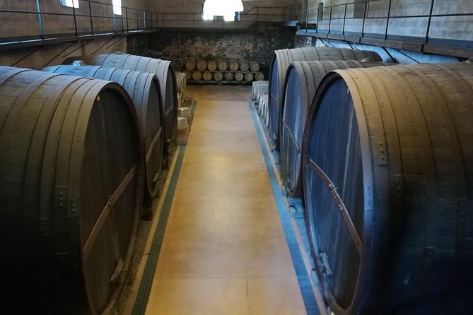 Etna Excursion and Lunch - Wine Tasting in Etna DOC Vinery - Zafferana stop and the human scale of Etna