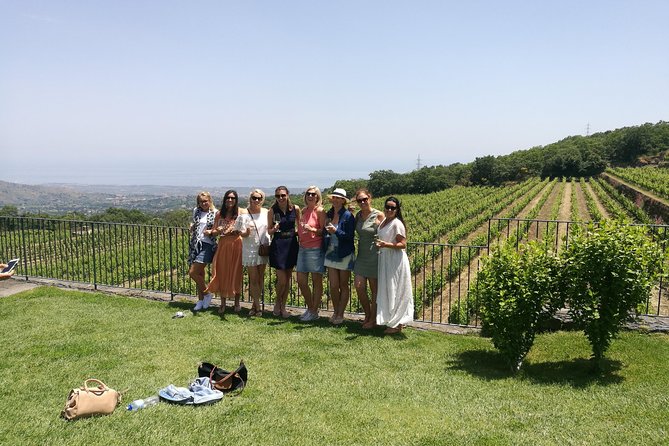 Etna Excursion and Lunch - Wine Tasting in Etna DOC Vinery - Pickup from Catania and the ride up to Rifugio Sapienza