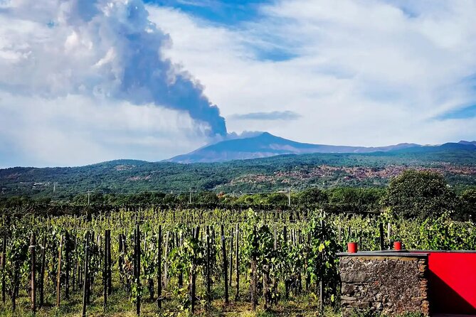 Etna excursion and wine tasting with Sicilian lunch - Exploring Grotta dei Ladroni: Lava Tunnel, Helmets, Torches