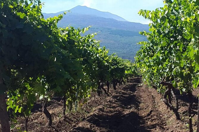 Etna excursion and wine tasting with Sicilian lunch - Lunch at the Winery: Sicilian Food in the Cellar