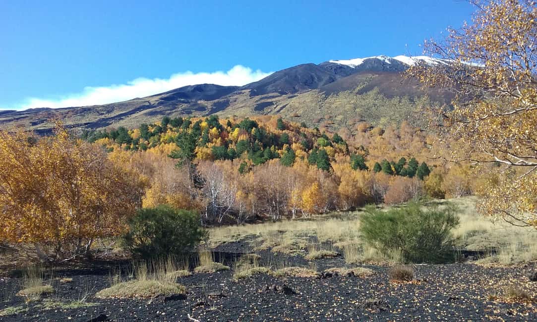 Etna excursion from Taormina and surroundings - Side craters: the views are the payoff (and they’re timed right)