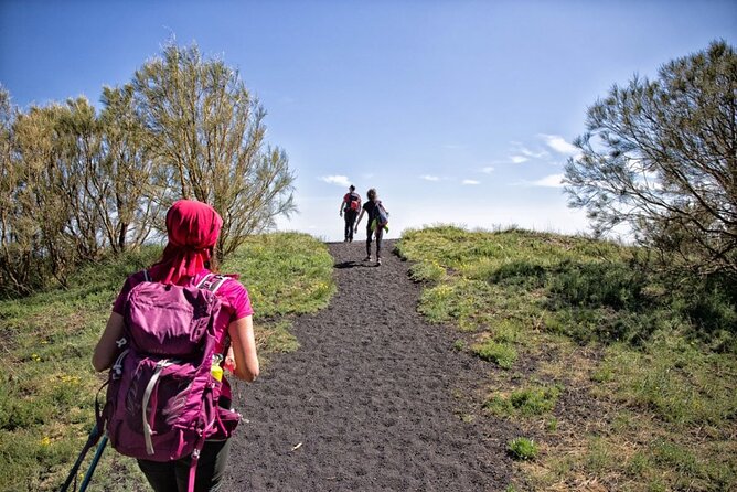Etna Family Tour Excursion for families with children on Etna - Key highlights you’ll care about