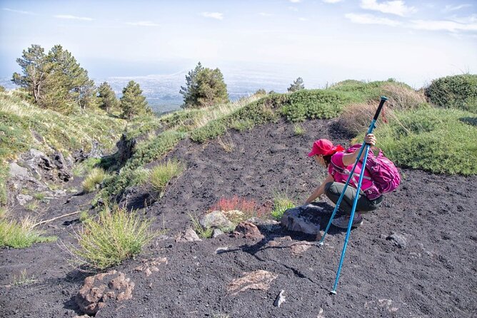 Etna Family Tour Excursion for families with children on Etna - Price and value: is $102.84 per person fair?