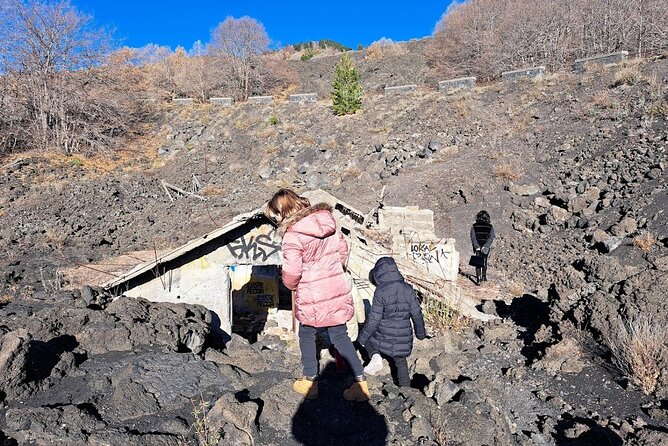 Etna Family Tour Excursion for families with children on Etna - Who this Etna family tour is best for