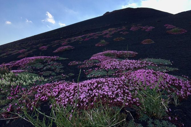 Etna Grantour - 4x4 & trekking - Private tour with lunch included - Grotta Intraleo: seeing lava-tube formation, helmet and lights included
