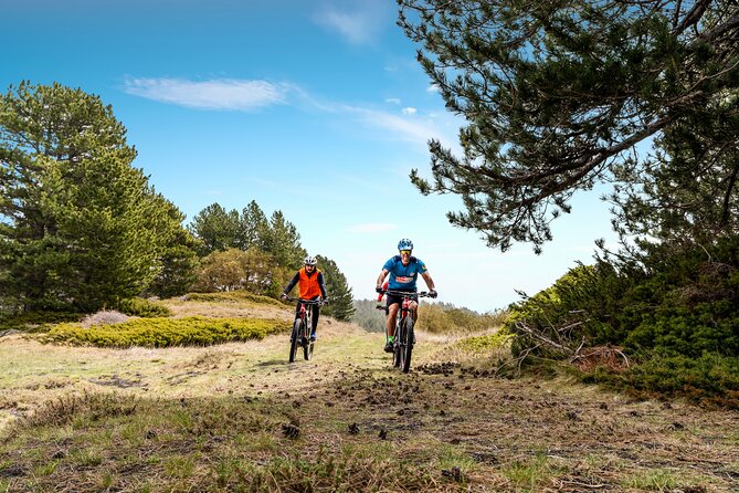 Etna in MTB Half day small group - Why Ride Mount Etna by MTB From Catania-Nicolosi?