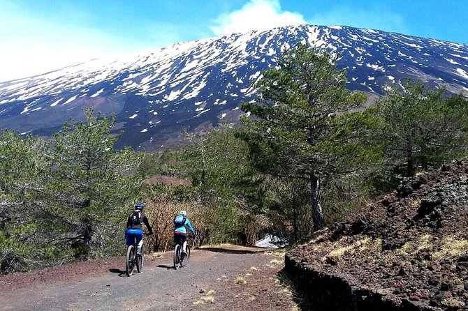 Etna in MTB Half day small group - Timing, Pace, and Who This MTB Trip Suits
