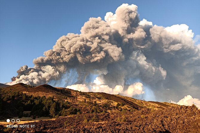Etna Morning From Catania - Food tasting on Etna: honey oil and local wine