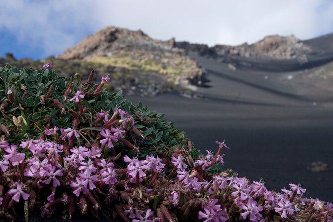 Etna Morning or Sunset - Trek & Lava Tunnel with Gear - Key Highlights You’ll Care About