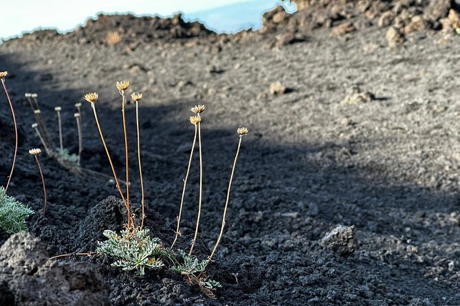 Etna Morning or Sunset - Trek & Lava Tunnel with Gear - The 5–6 Hour Rhythm: How the Day Feels From Start to Finish