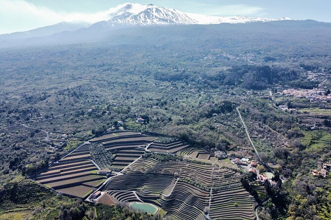 Etna panoramic private tour and Wine taste and food combination - Key highlights worth aiming for
