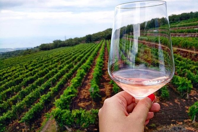 Etna panoramic private tour and Wine taste and food combination - The van ride: less hassle, more time where it counts