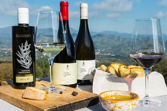 Etna panoramic private tour and Wine taste and food combination - Stop 2: Silvestri craters walk near 2000 meters