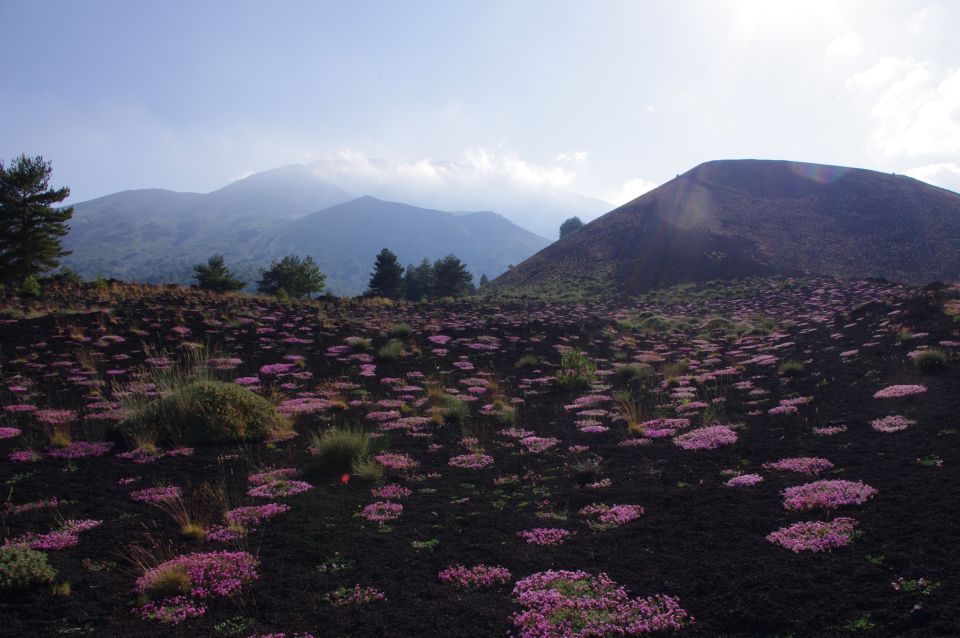 Etna Private Sunset Tour with Prosecco - Climbing through lava flows and extinct craters