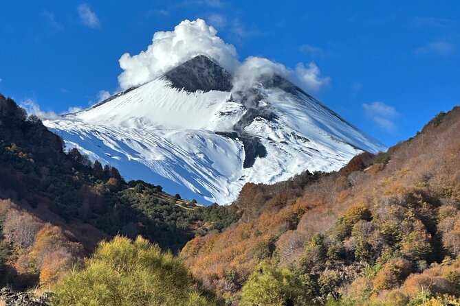 Etna Private Tour and Excursion - Farm tasting around Zafferana Etnea: honey and wine