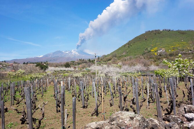 Etna Private tour from Messina Cruise Terminal + Lunch at Winery - Who should book this Etna + winery day?