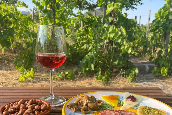 Etna private tour in 4x4 & Sicilian food farm experience - Mount Etna stages: lava fields, side craters, and Valle del Bove