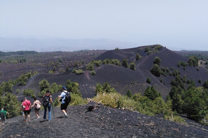Etna private tour with wine cellar gambino lunch and wine tasting - Private Etna from Catania: what you’re really paying for