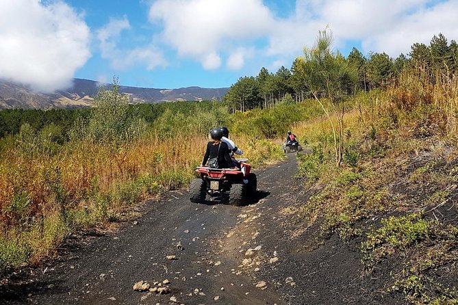 Etna quad tour - half day - Price and value: $245.30 per group makes sense only if you split it