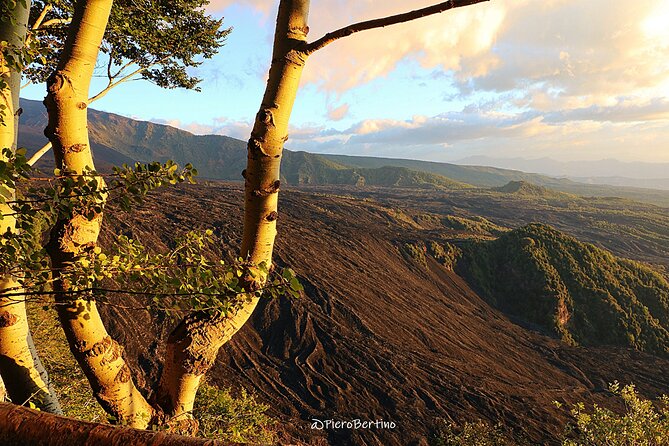 Etna Sunset Tour - Price and value: what you’re paying for at $131.82