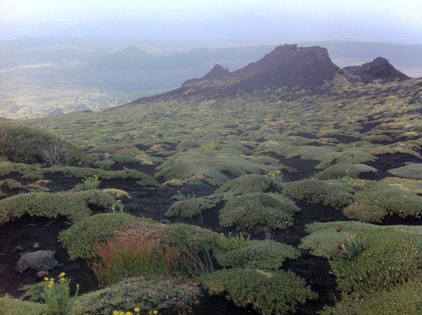 Etna: Sunset Tour on the Volcano - Pickup, drive time, and the small details that shape your mood