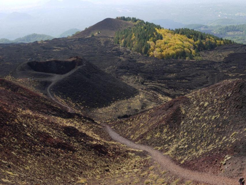 Etna Tour by Panoramic Bus - The onboard audioguide: six languages, pre-recorded value