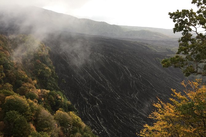 Etna Tour for Cruises (from the port of Catania) - Crateri Silvestri Walk: Ancient Craters in About an Hour