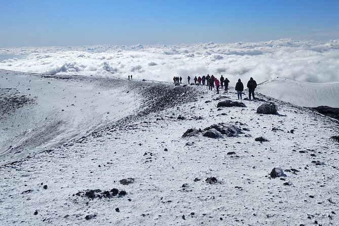 Etna Tour - HalfDay Small Group & licensed Tour Guide - The farm tasting finish: local food you can slow down for