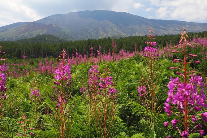 Etna Tour in 4x4 - Price and value: what you’re paying for and what to budget for