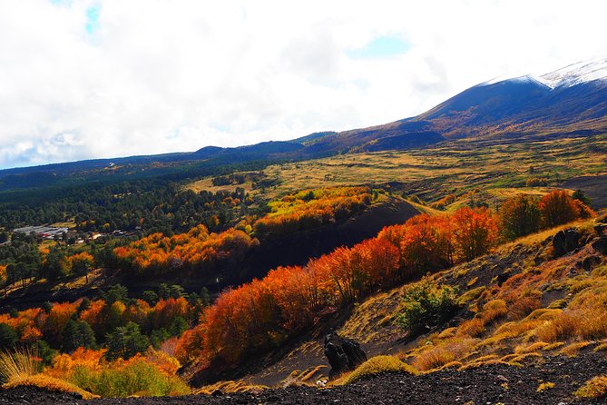ETNA - Trekking to the Craters Eruption of 2002 - Crater air, wind, and timing: how guides protect your experience