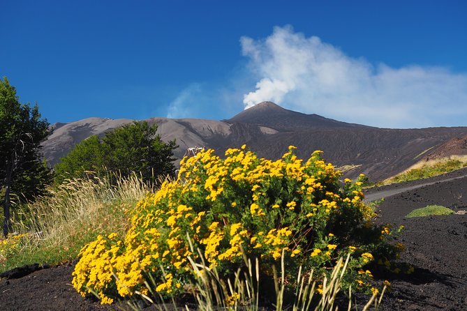 ETNA - Trekking to the Craters Eruption of 2002 - Who should book this trek, and who might want another option