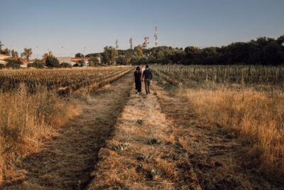 Etna: Urban Winery, Vineyards Walk & Wine Tasting at Sunset - The Vineyard Walk Between Catania and Etna