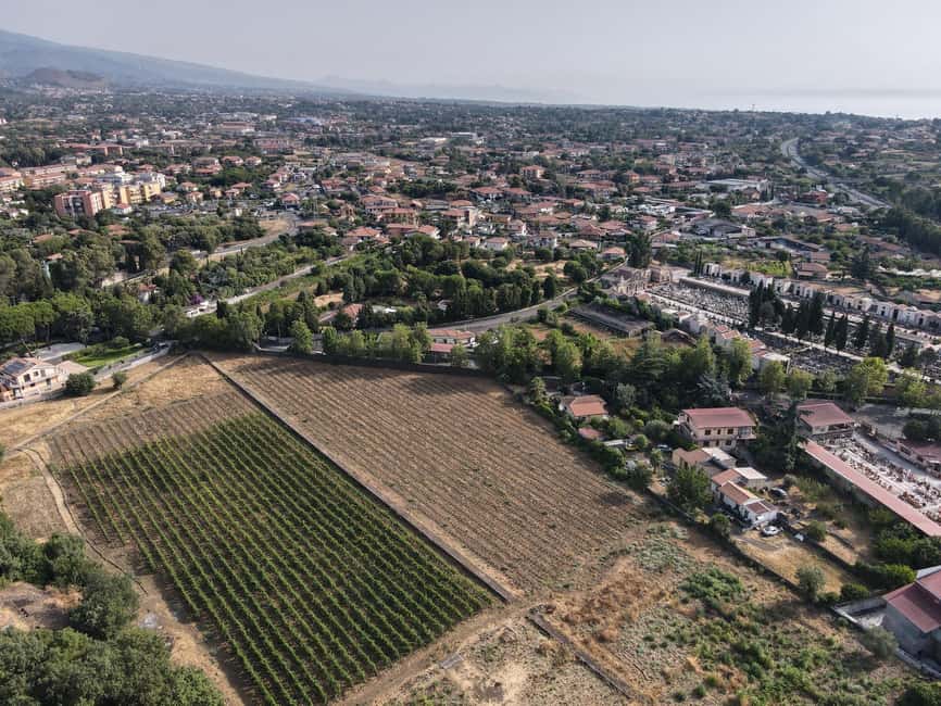 Etna: Urban Winery, Vineyards Walk & Wine Tasting at Sunset - Food Details: Antipasti, Pasta, and a Real Tasting Portion