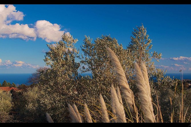 Etna Volcanic Yoga and Meditation Weekend (Private Experience) - Key highlights you can plan around