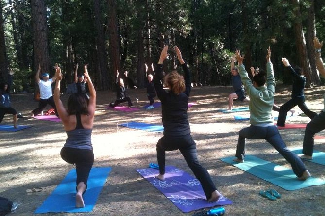 Etna Volcanic Yoga and Meditation Weekend (Private Experience) - Meditative Volcanic Walks with Official Guides