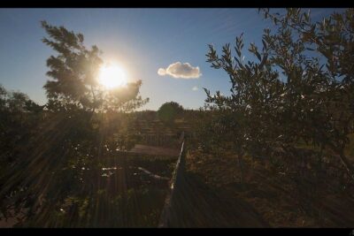 Etna Volcanic Yoga and Meditation Weekend (Private Experience) - Catania Pickup at 9:30 and the Start of Your Weekend