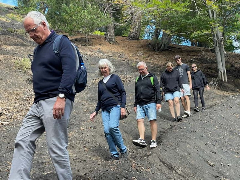 ETNA VOLCANO: Excursion to the Craters of 2002 - Birch forest time on Etna: a break that still feels volcanic