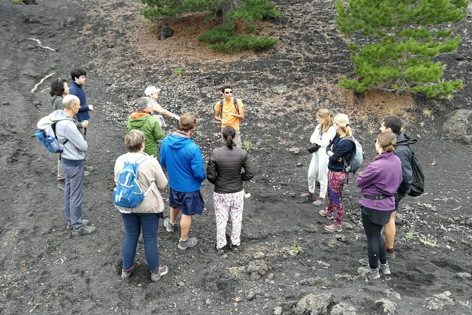 Etna, Wine and Alcantara Tour - From Taormina - Mount Etna, wine, and Alcantara: why this day tour works