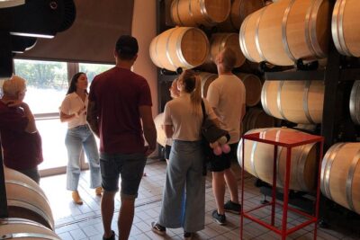 Etna Wine and Food Volcanic Day Tour - Private Experience - Mt. Etna Stop: Old Lava Rivers and a Guided Crater Walk