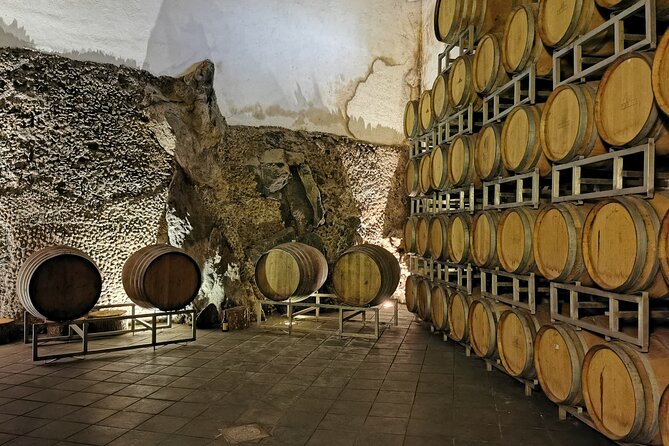 Etna Wine And Taormina From Messina - Messina to Taormina and Mt. Etna: the big picture