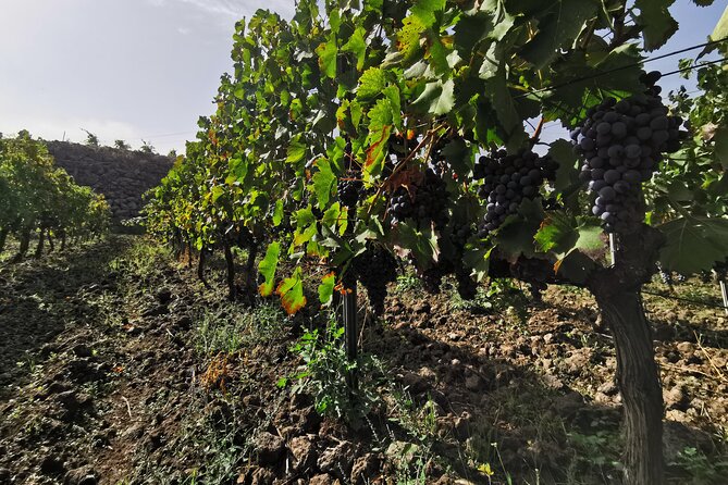 Etna Wine And Taormina From Messina - Taormina on Corso Umberto and Porta Catania: where the time goes